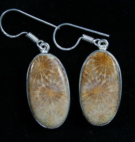 Fossil Coral Earrings #7678